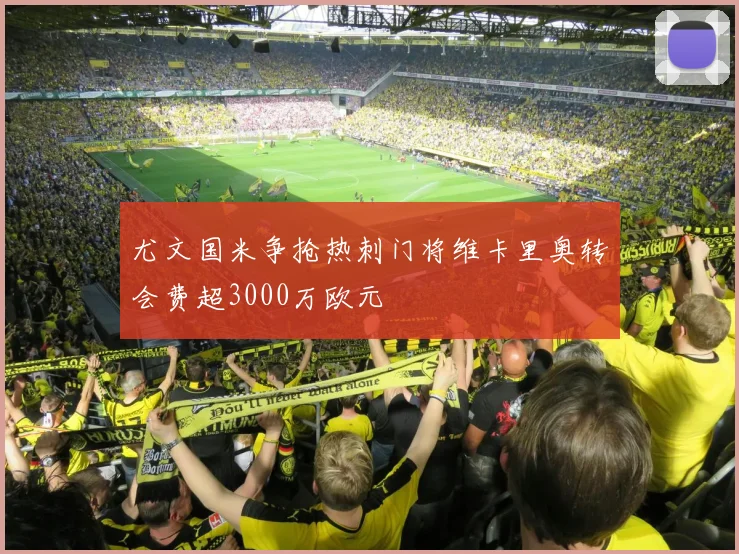尤文国米争抢热刺门将维卡里奥转会费超3000万欧元