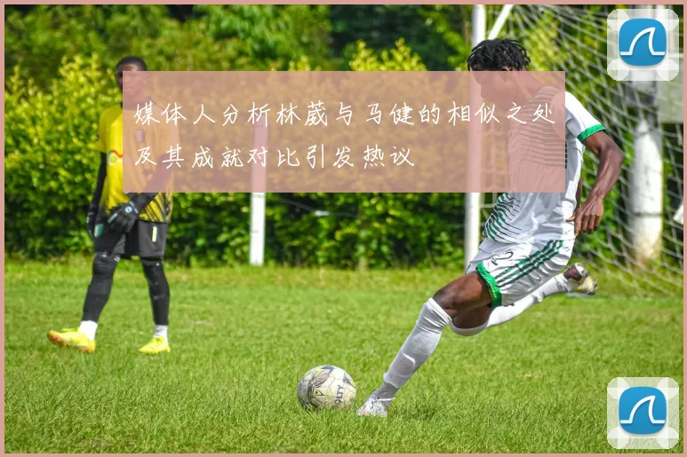 媒体人分析林葳与马健的相似之处及其成就对比引发热议