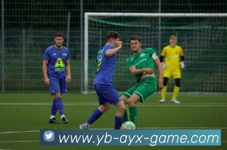 媒体人分析林葳与马健的相似之处及其成就对比引发热议